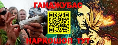 шишки Заволжье