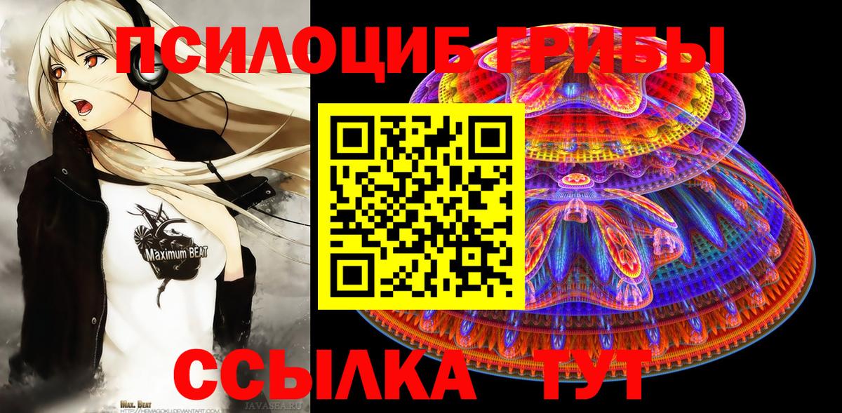 Галлюциногенные грибы GOLDEN TEACHER  Вход с VPN  Междуреченск 